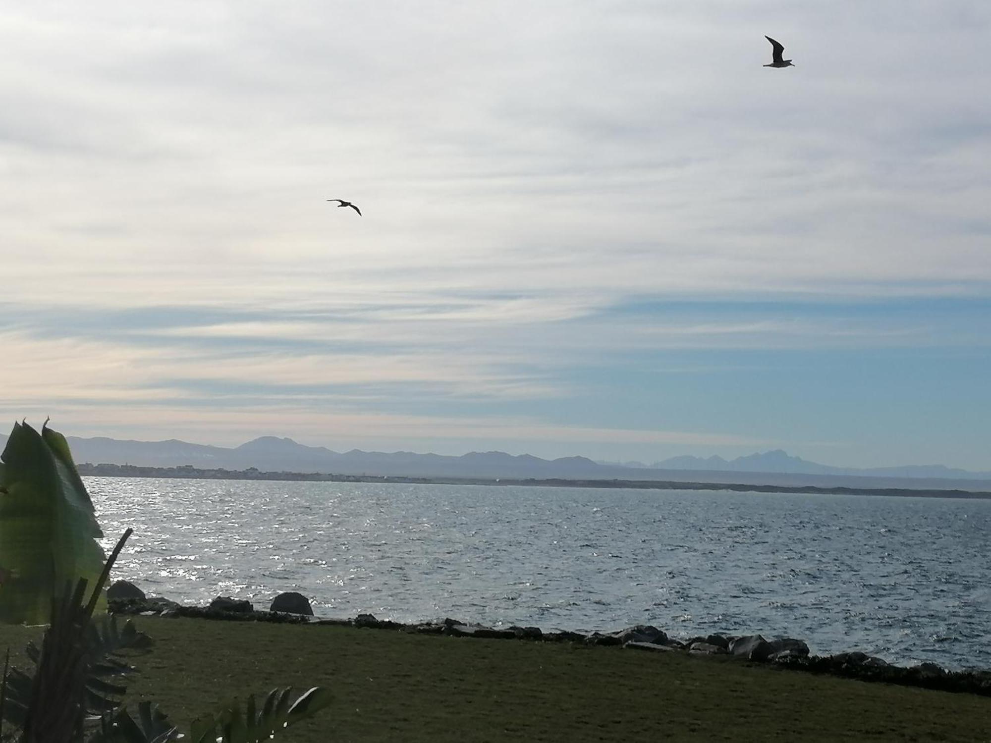 Ocean And Harbour View Apartamento St Francis Bay Exterior foto